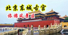 骚逼被干爽视频中国北京-东城古宫旅游风景区